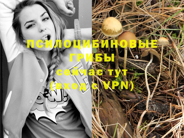 mdpv Балабаново
