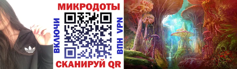 Галлюциногенные грибы Cubensis  хочу   Сим 